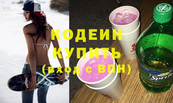 мдпв Ельня