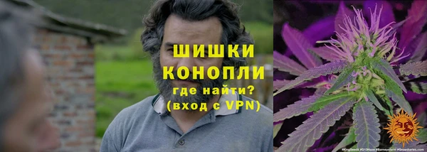трава Елизово