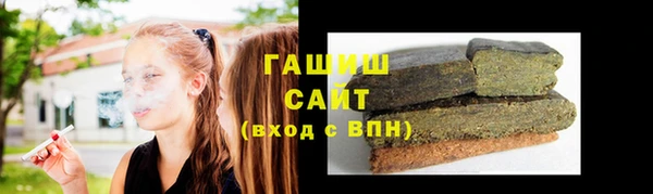 мдпв Ельня