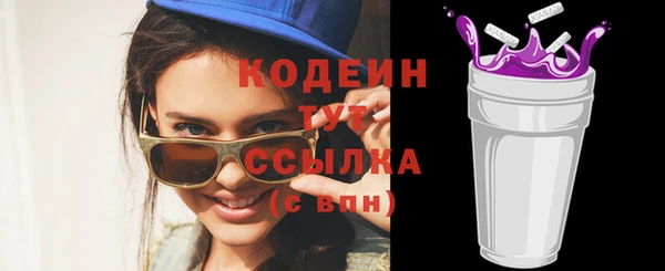 мдпв Ельня