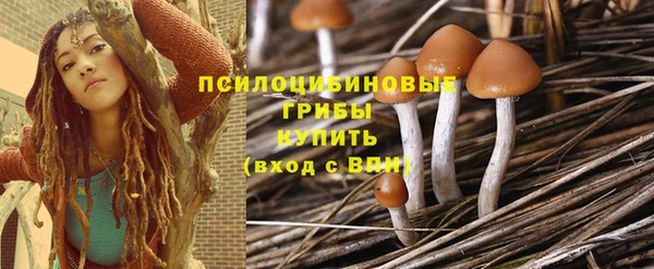 мдпв Ельня