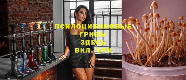 мдпв Ельня