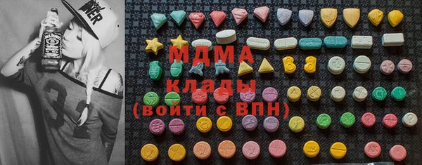 мдпв Ельня