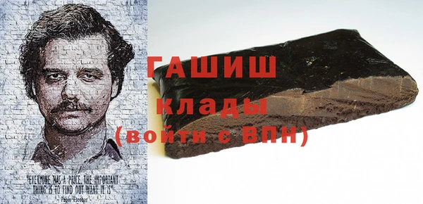 мдпв Ельня