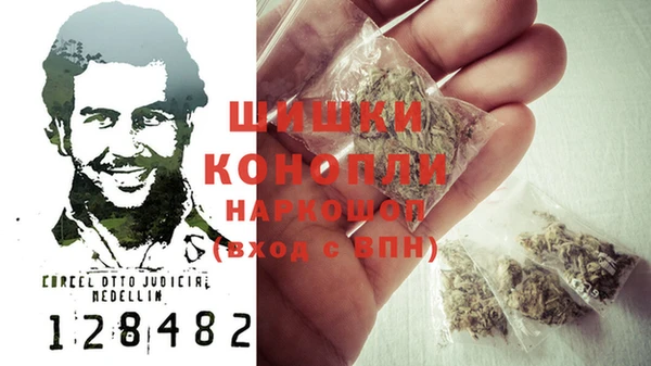 трава Елизово