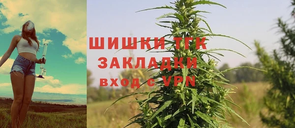 трава Елизово