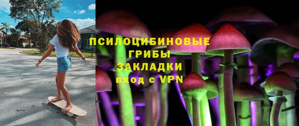 мдпв Ельня