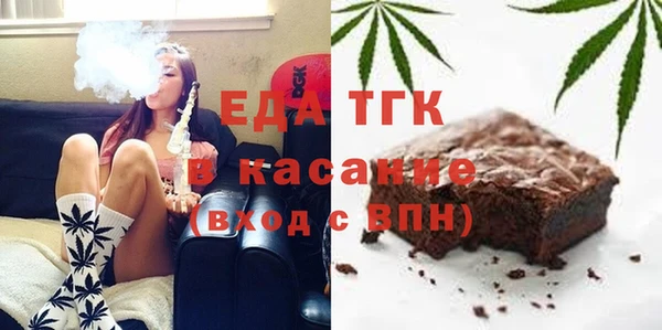 мдпв Ельня