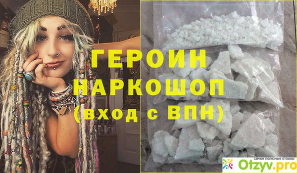 мдпв Ельня